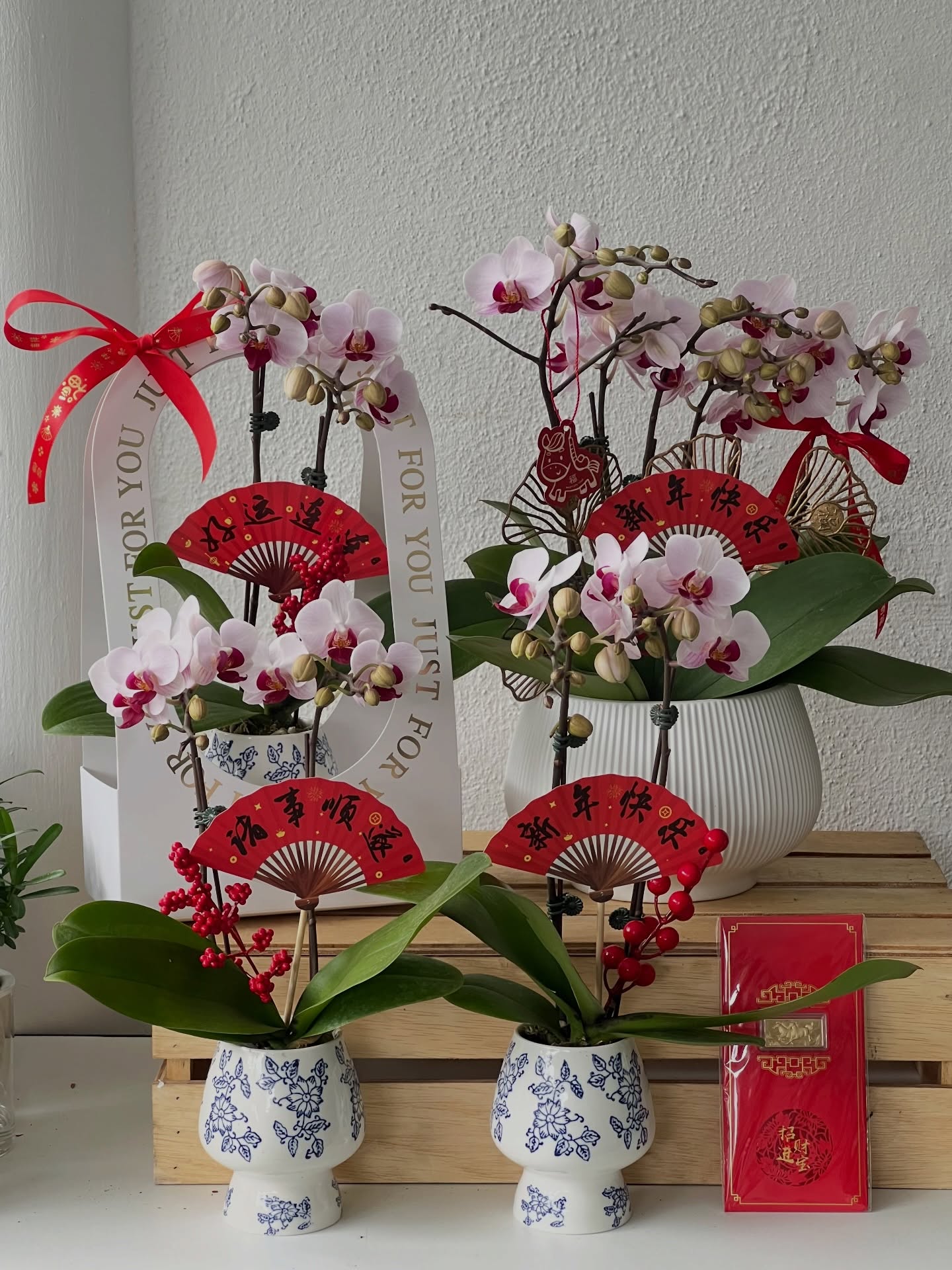 Orchid arrangements with red fans in a “just for you” carrier